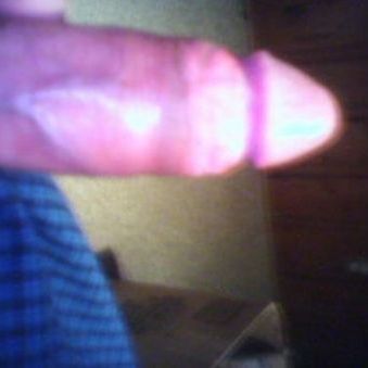 dodo_38